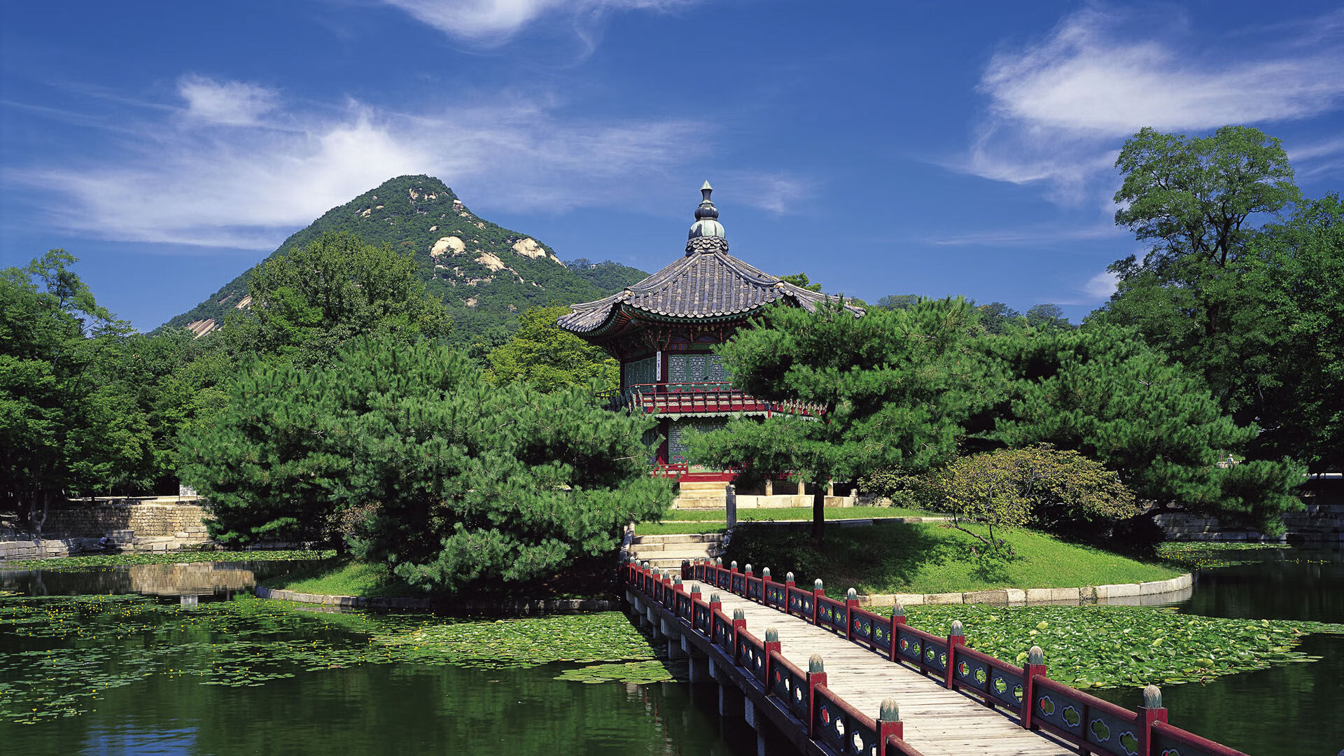 2026年中国攀岩锦标赛 速度赛全国纪录再被改写，2020年中国攀岩赛事